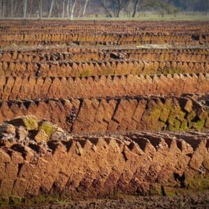 Organic coco peat brick plant nutrient block online Siliguri shop buy